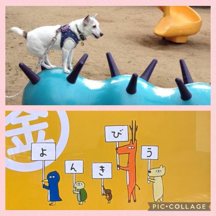 E6d019f8 b668 480a 8108 fd3c944039c5 1752789523064
