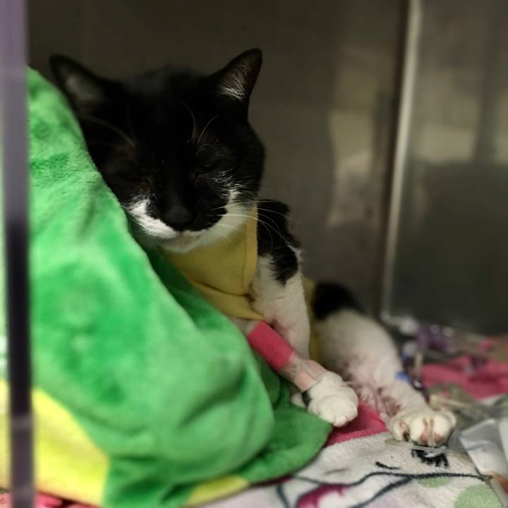 E6d01b1b f7be 4930 98a7 ea310cf4c77f 1594991882581