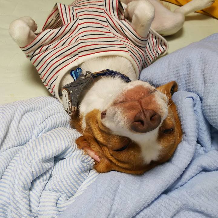 E6d02a72 c91f 4e89 bfb5 ac81919b6328 1566310435591