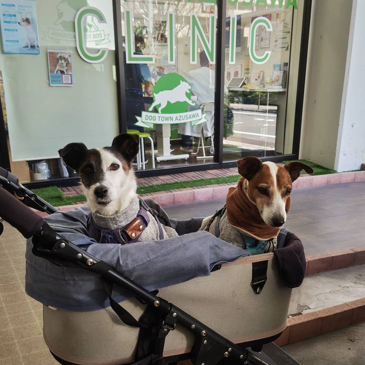 E6d05160 71c0 4e1c 867e 0a404a62967c 1768653473138