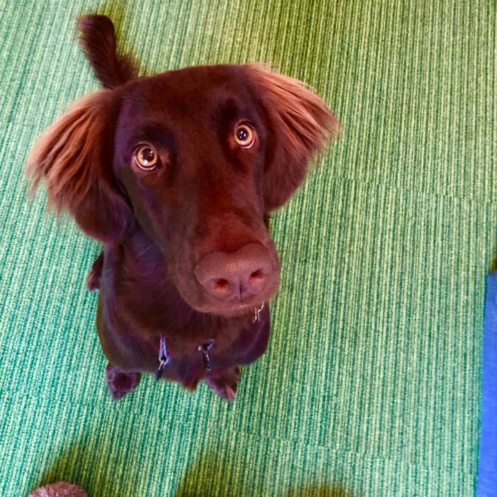 E6d06056 b242 4748 9e2a 2de6811a9aa3 1574425183983