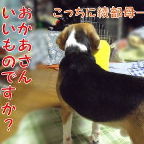 E6d0b081 ed0f 4fbf aebf 3b71898f19b4 1694649708257