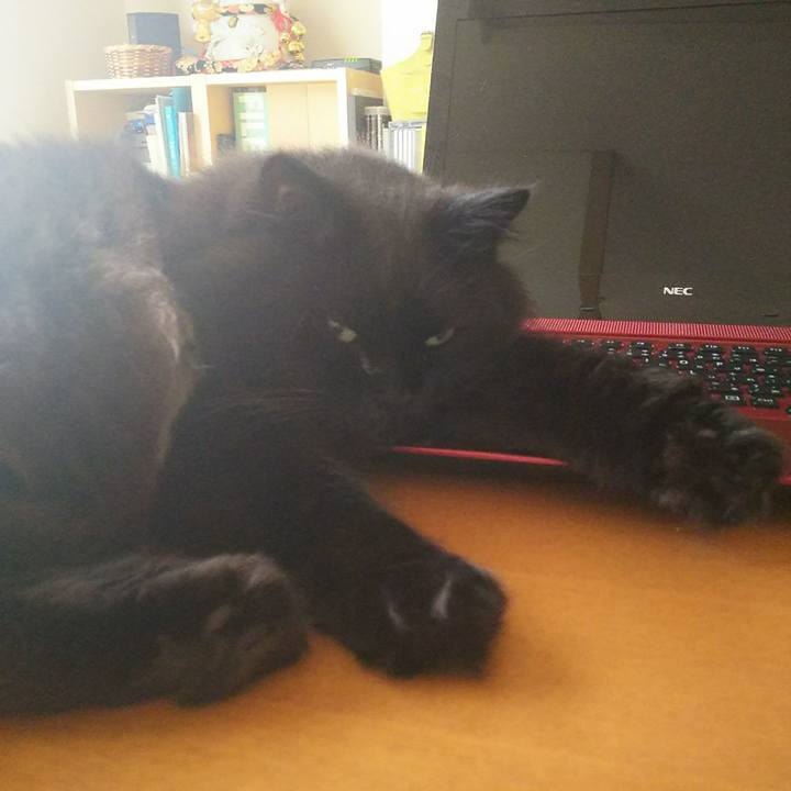 E6d0c271 bc4f 4dc6 b1ff cc62915585da 1531611690493