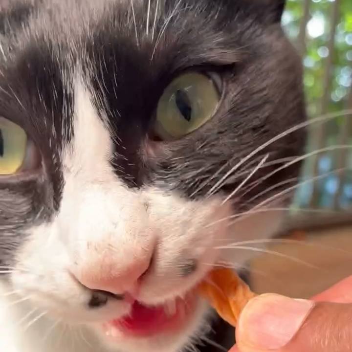 E6d10164 e2e4 4b4a bb89 2b45647bb8a2 1748744555388