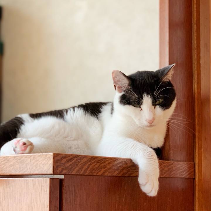 E6d10a2e 028f 4341 996e f3694bdcebec 1599099680291