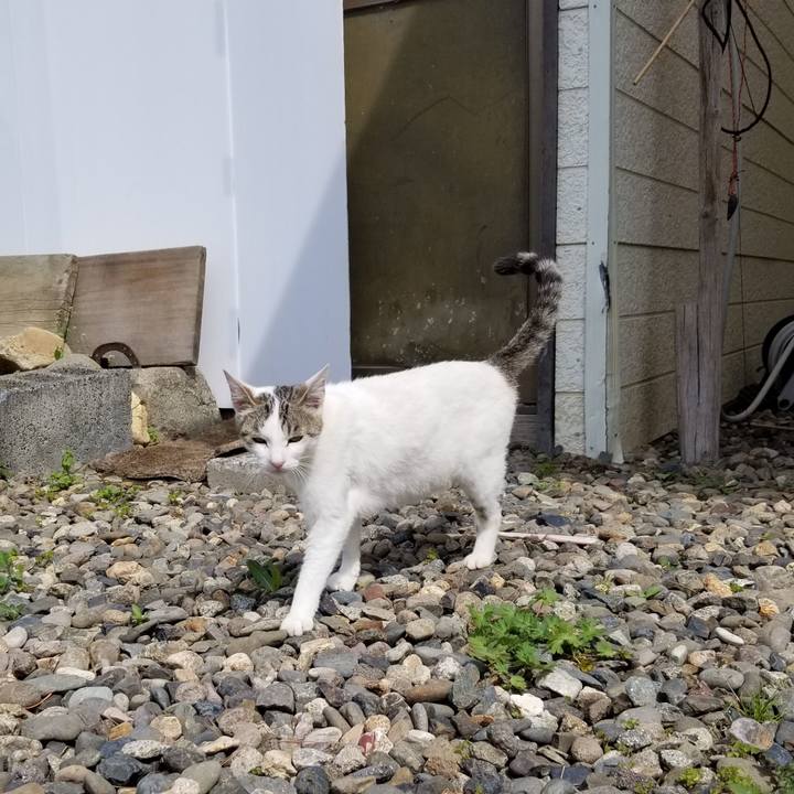 E6d15db6 2cfe 4aa7 a436 1d5ef360bc2c 1623024282928