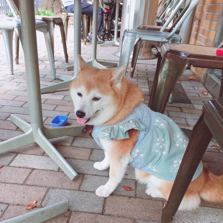 E6d164fe b131 42cc b03d 03d5eca0018e 1537073012167