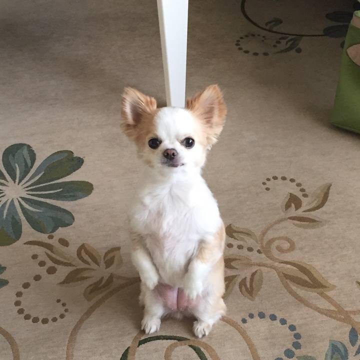 E6d18a92 8932 49cb 9abd 6fb6f3a408ce 1585405477814