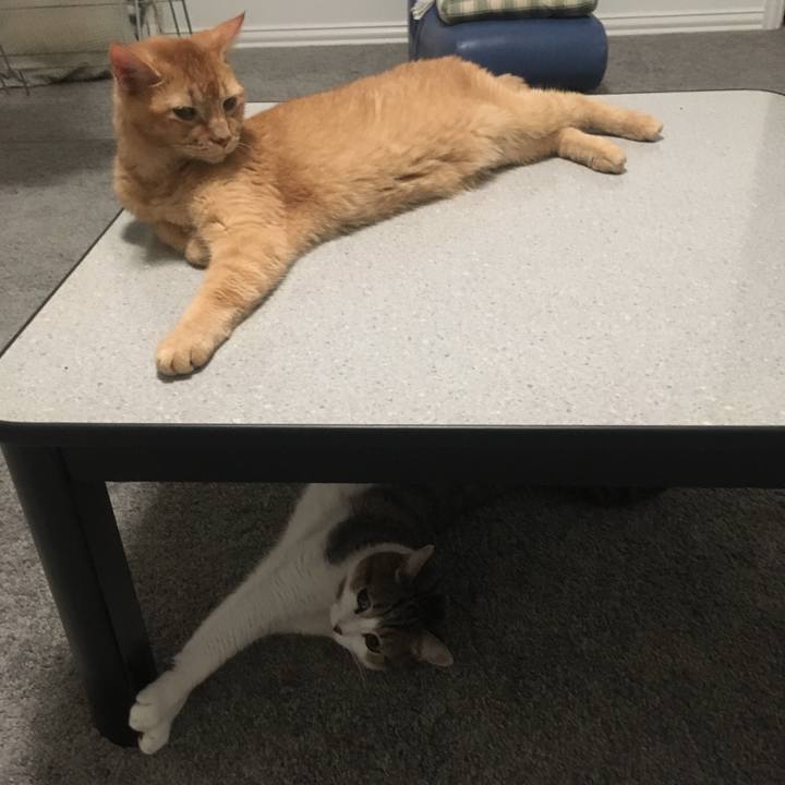 E6d1ac25 6c31 4c3c be35 d695b77e8c8b 1662940957624