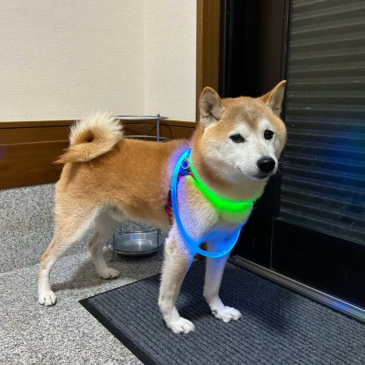 E6d1c2be a938 4d54 974c 1210f2afa8bd 1731582656186