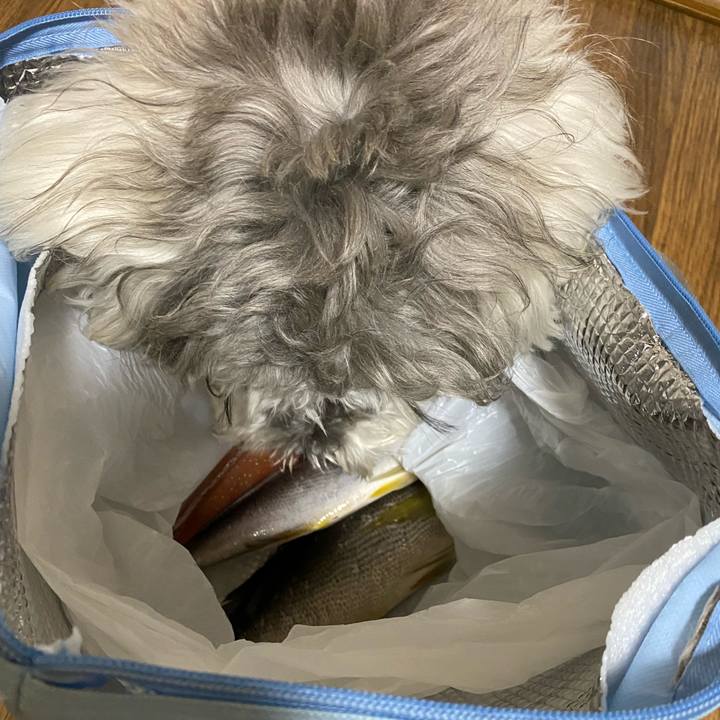 E6d1da85 af25 46cf aef2 d8c81492ca05 1627236128817