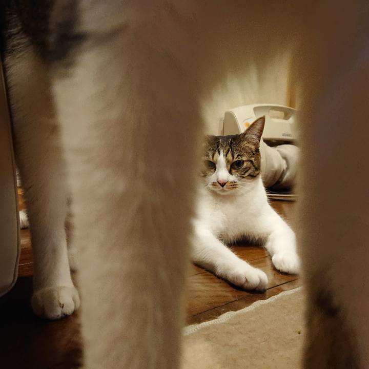 E6d20225 c539 403b a012 f8de7cacaaf0 1588508672000