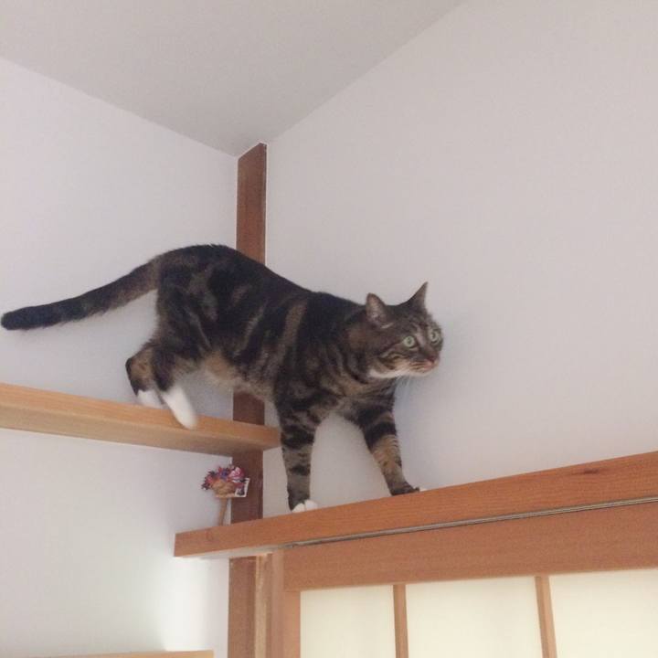 E6d21216 3835 4de8 b7f1 108144cc7327 1539092363142