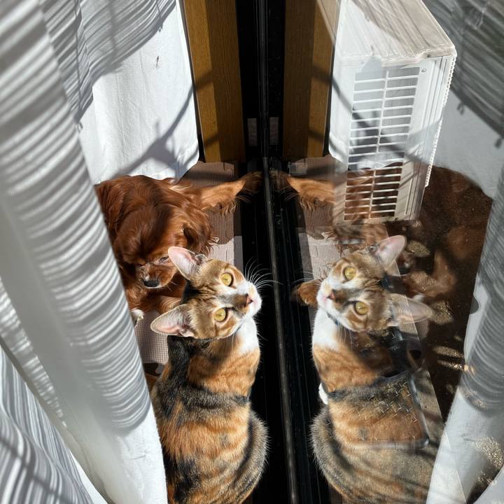 E6d23ba2 370d 495a b1fa 7f5497640b1f 1673152299591