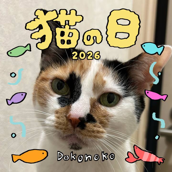 E6d25ff2 8ec9 46fa 9b3d e0af4c02e574 1771749637018