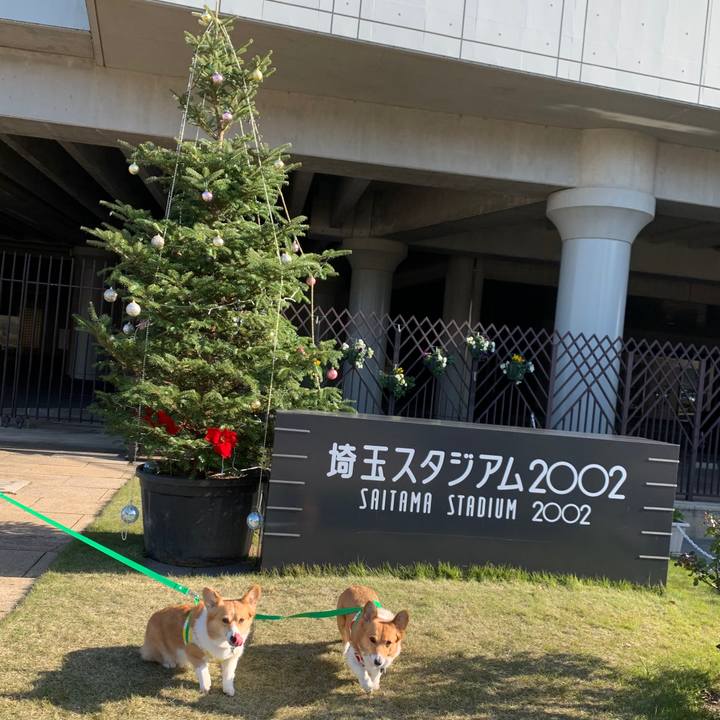 E6d271ff 3983 44b6 af32 fd680be87dda 1576296065062