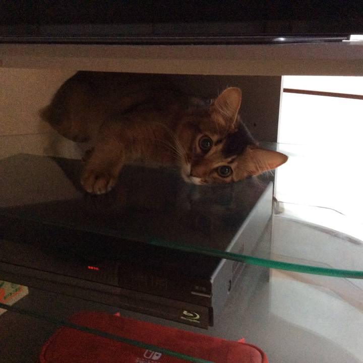 E6d27fe7 bb61 41c5 9d62 6f2fa708d0c3 1564188304162