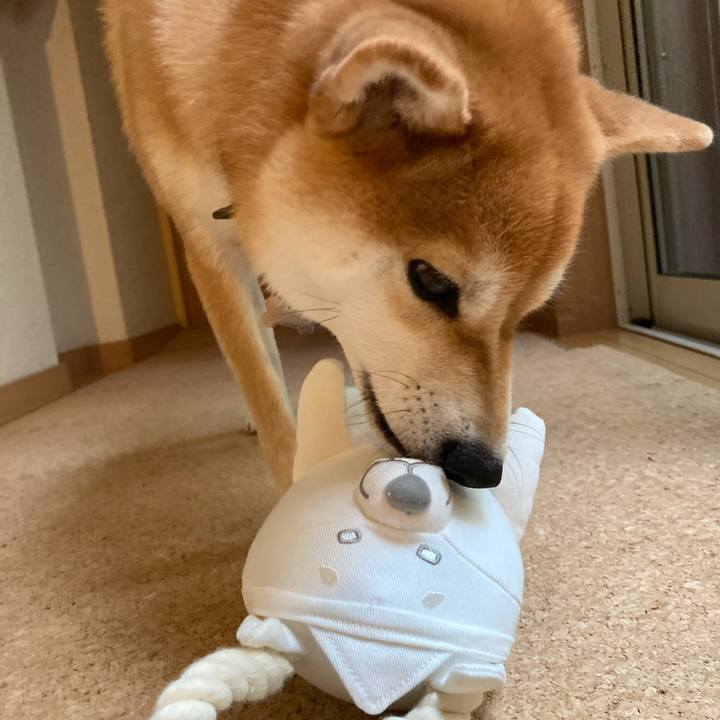 E6d28644 b720 4ca3 89ba b25bc0677fa4 1662612236603