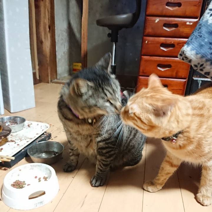 E6d29119 aee3 4464 a7b7 1707be0eab75 1650055886261