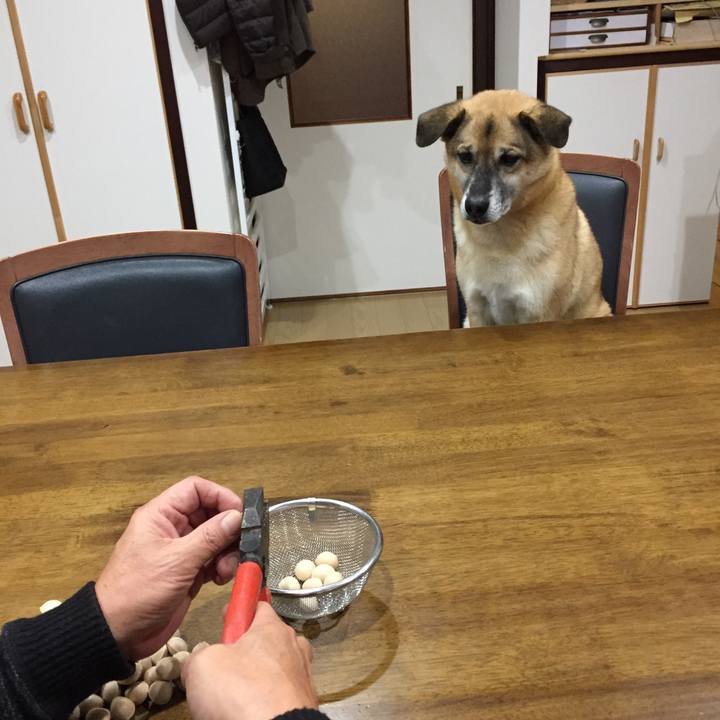 E6d2a532 2d71 4785 acf1 70f824d9690d 1515582616101