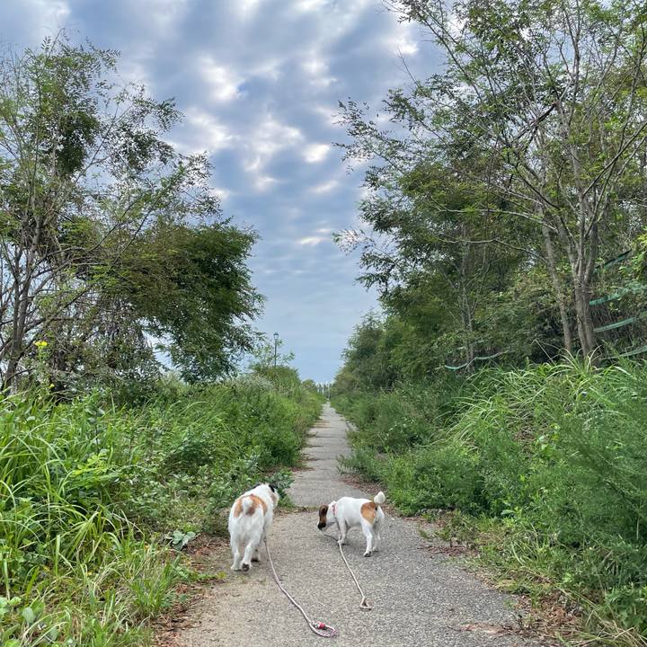 E6d2e04c 12e1 49f6 8fff 2b283fcbbdd1 1630106323821