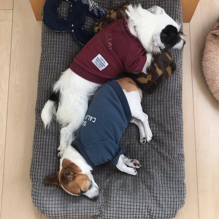 E6d320ec a19e 4bec 9a4d 15d16d930008 1540352226201