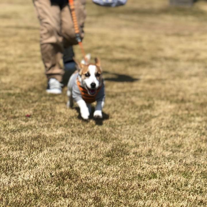 E6d327d1 b237 4346 96f3 84684d9496aa 1552815072150