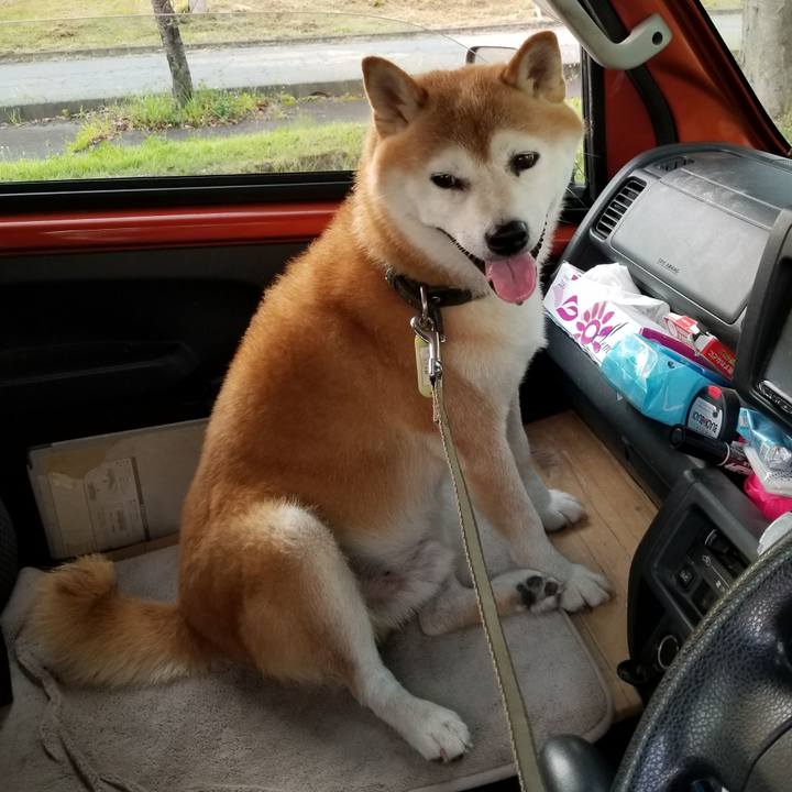 E6d37592 6854 45cc af6a 993526052ff0 1662970582253