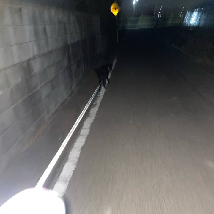 E6d403b9 b9df 48f4 89d8 e88fac70bd66 1646904604680