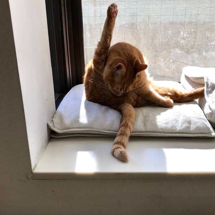 E6d41af7 7499 4be8 9337 e842ed1334b4 1515653004513