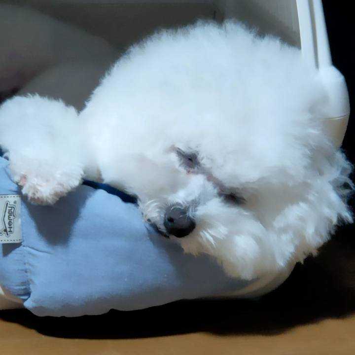 E6d46a91 1e83 4ea9 ab23 6e0510897c32 1770005447454