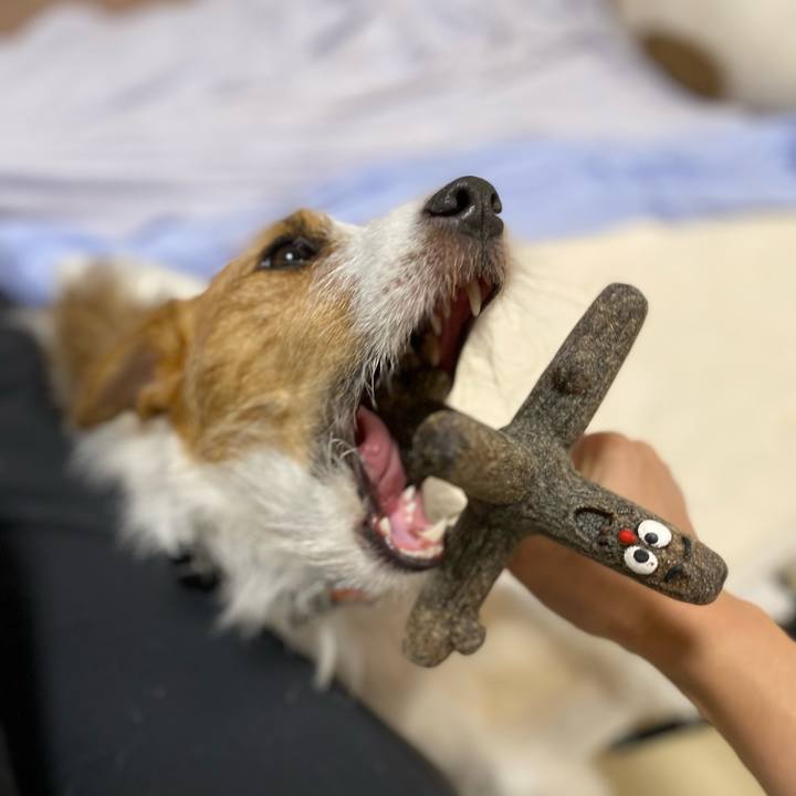 E6d4893b ae79 475a ae45 89177b6cb1a9 1662986930732