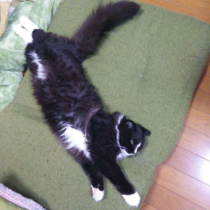 E6d4998a cdd4 446a 8c63 22ff9ad1a072 1650336656962