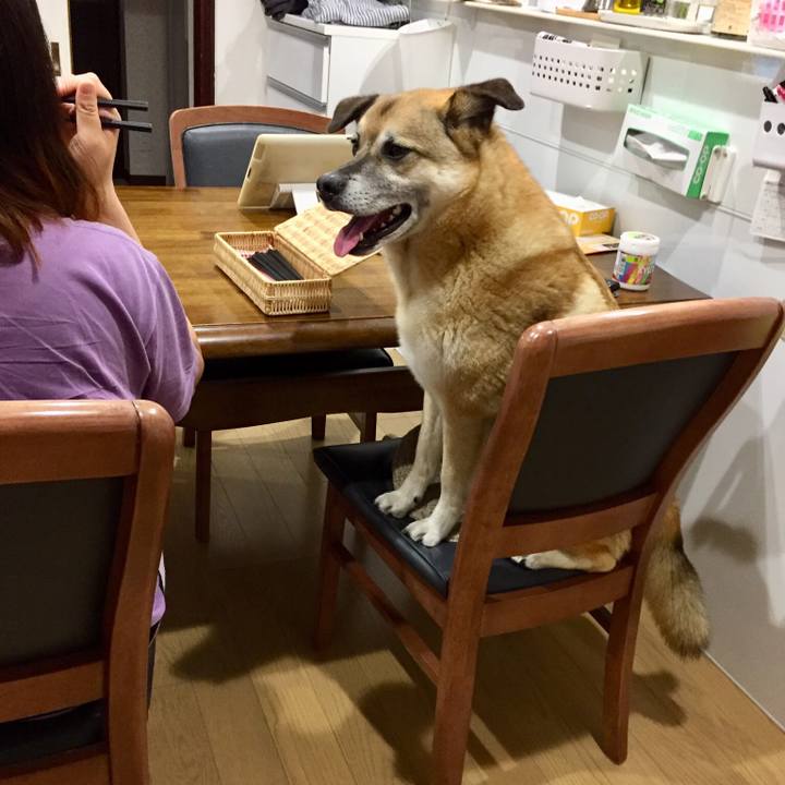 E6d49e99 2a4b 4f06 aba9 27110cfda93b 1527505855884