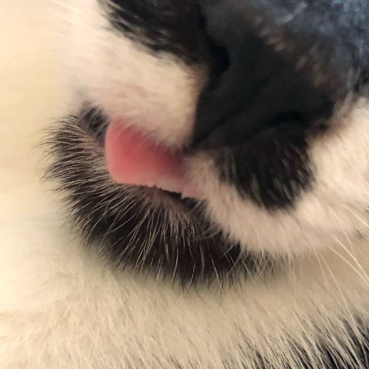 E6d4cb30 4b69 4371 83cb 36ebcd859d88 1532064120697