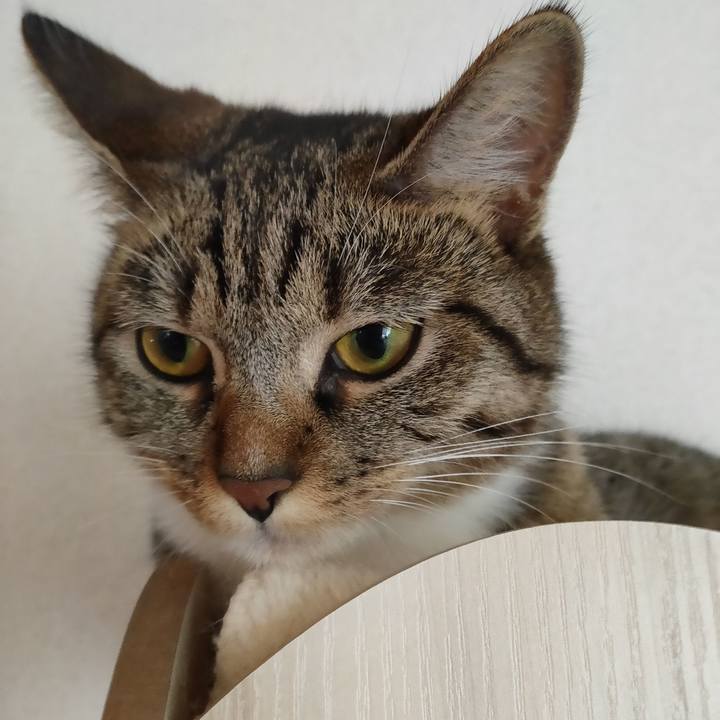 E6d518e6 77aa 4315 aa0f b831b932421d 1662172108249