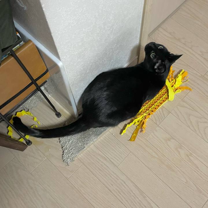 E6d53910 ebfc 447d ab0a c5015754e8ab 1710423091804