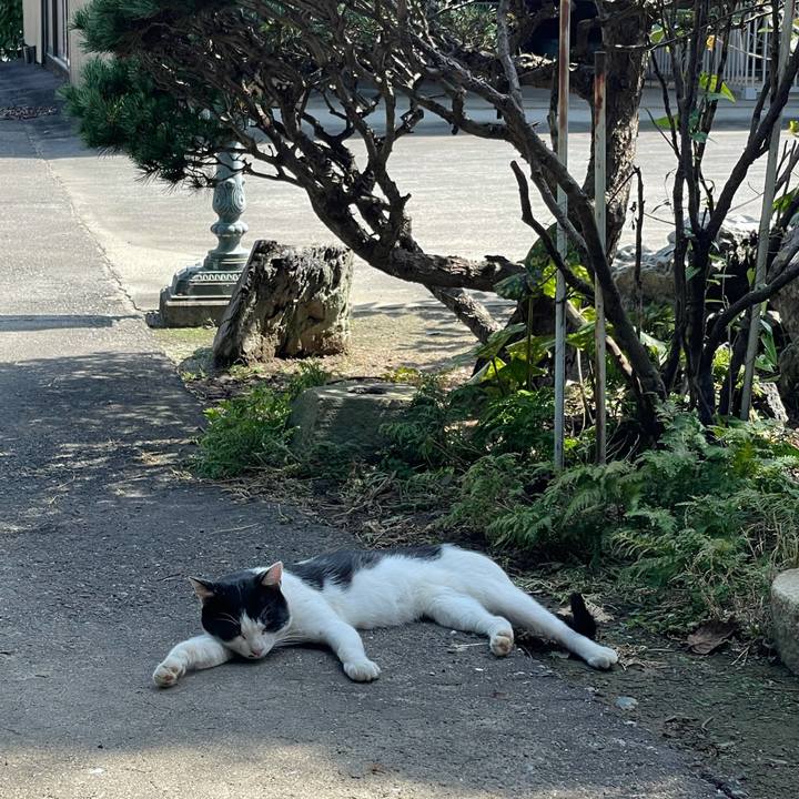 E6d57c83 0ed2 4f93 85c5 35d82013d2ba 1631246480359