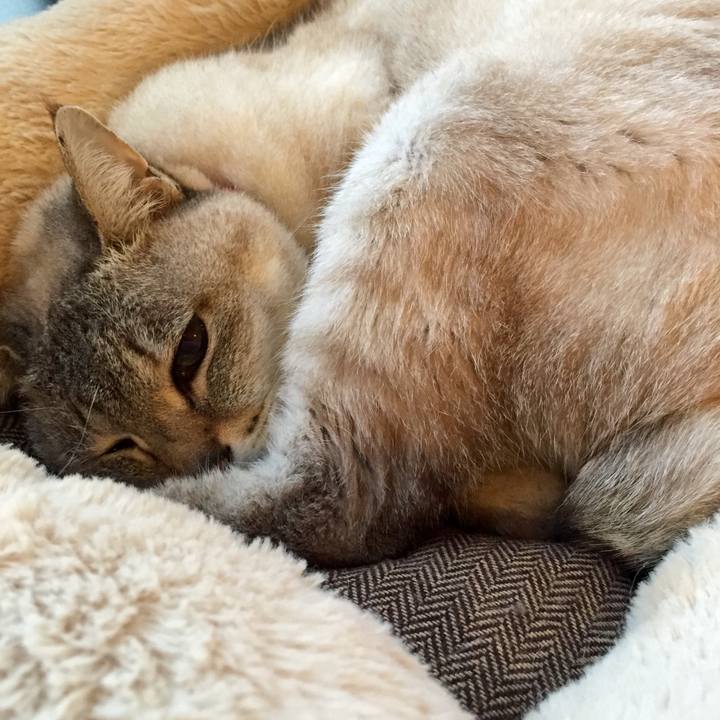 E6d58c1c b3db 4df0 be48 09a6db05a8fb 1520500929227