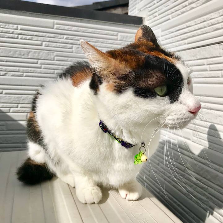 E6d5b398 ac3b 44f5 807d 9663803b7a30 1516763683044