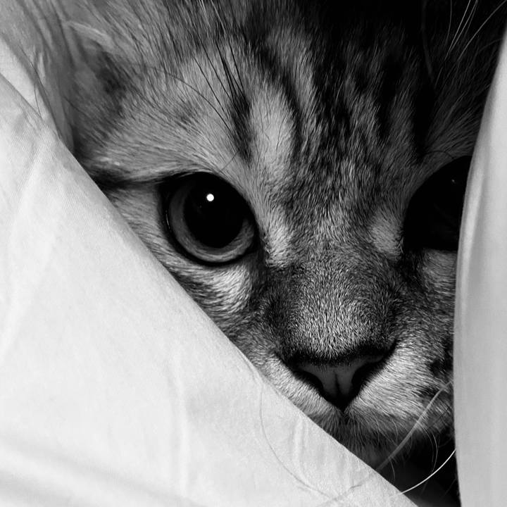 E6d5f04c e9e5 49e2 9305 9860634b068c 1708703570080