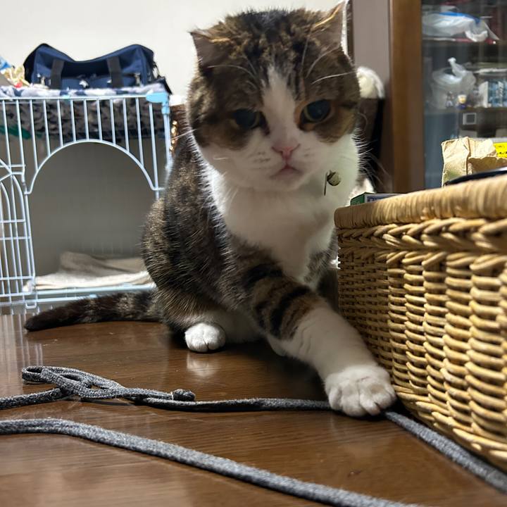 E6d5fc04 2f9e 42aa 9b24 aed31cde340b 1775250544355