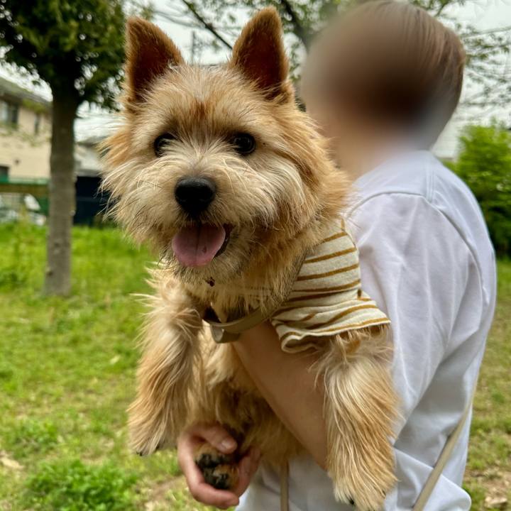 E6d6377c 8030 468d a204 9b80ce3be7e3 1714441464601