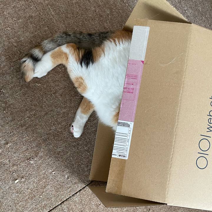 E6d68558 0780 4d3c abf9 5530952f8b1a 1717838302911