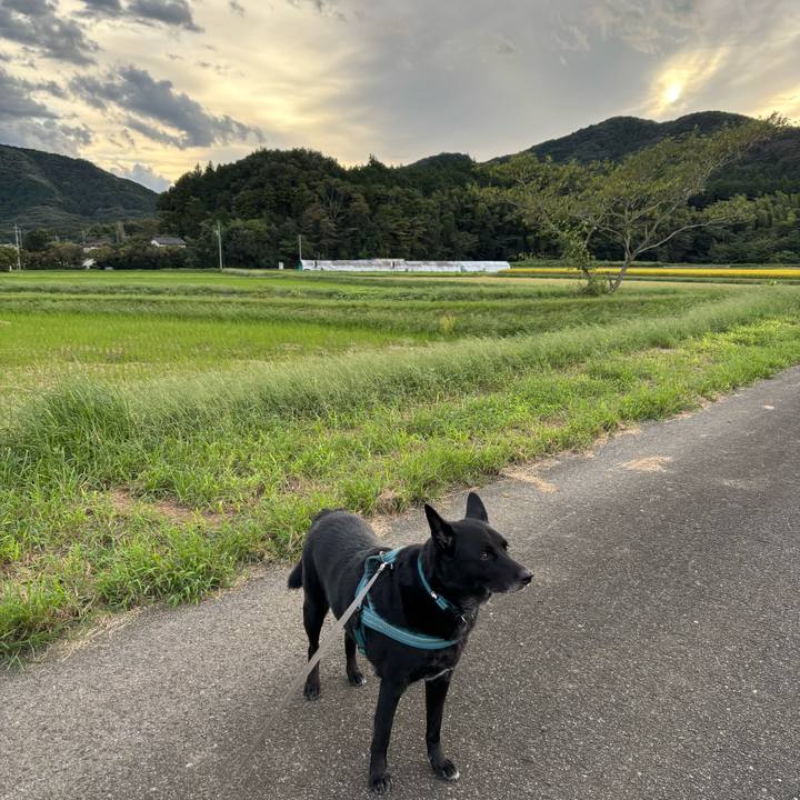 E6d69126 be97 4b78 ae93 dfe1cb3a409b 1758441607488