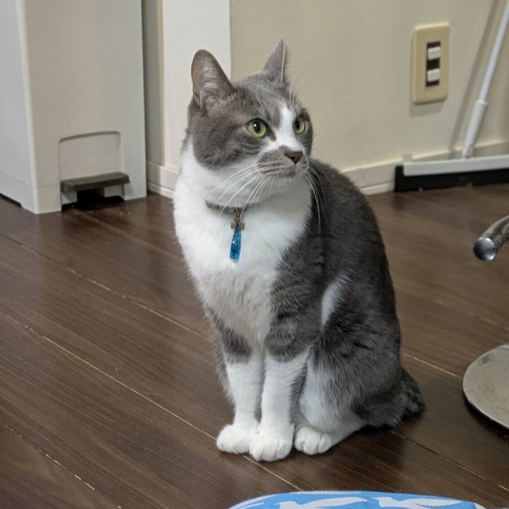 E6d6a027 a654 4e8e bcbb d0c07d80de8f 1765897768400