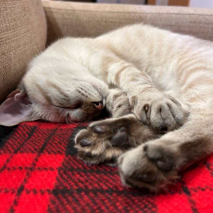 E6d6a57c cb8d 4387 8df2 acdf5aed4471 1731508227187