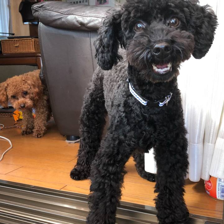 E6d6d7fb 12e5 4a8e 94f5 b62f0fa27dea 1509838116939