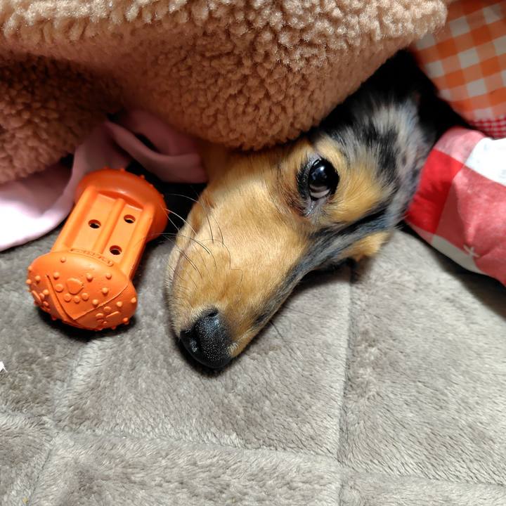 E6d71b01 9d9d 4860 820e d229e769092d 1710932178990