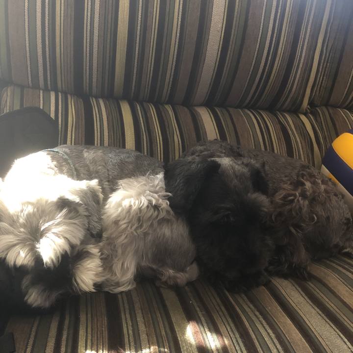 E6d7526e 52f1 4812 b7bf 32979c697b76 1570577256260